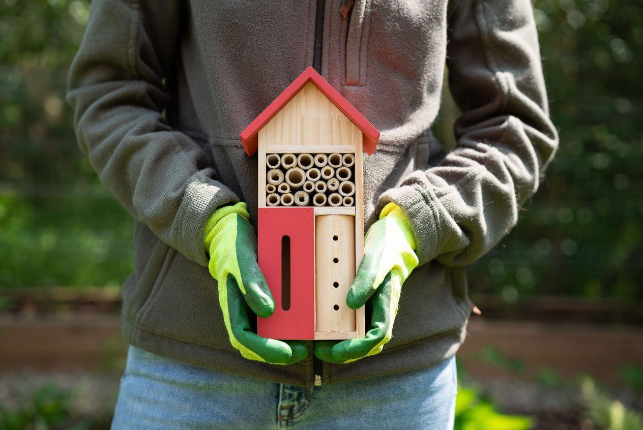 Hands assembling a bee hotel from cut logs