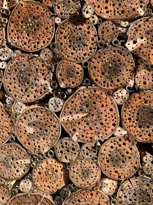 Bee hotel built from drilled logs