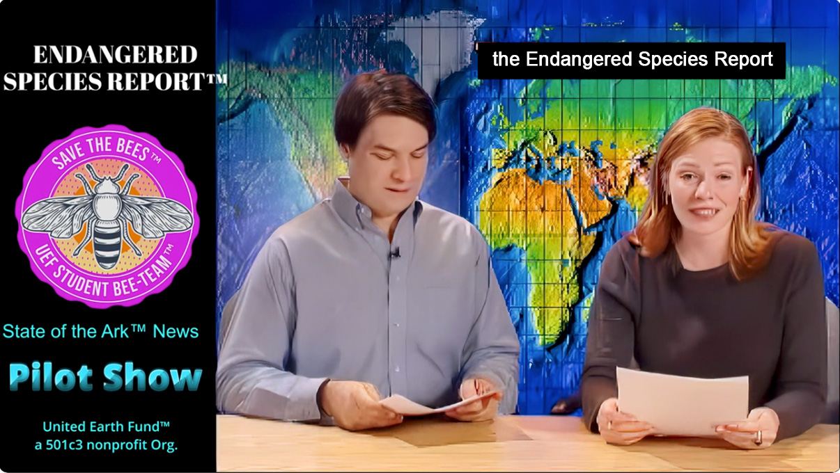 Two student anchors on the Endangered Species Report pilot set